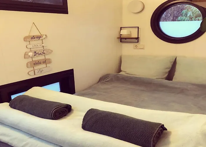 Botel Houseboat In Lathumse Plas With Harbor Views Lathum