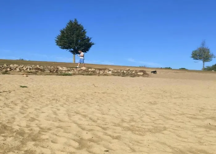 Botel Houseboat In Lathumse Plas With Harbor Views