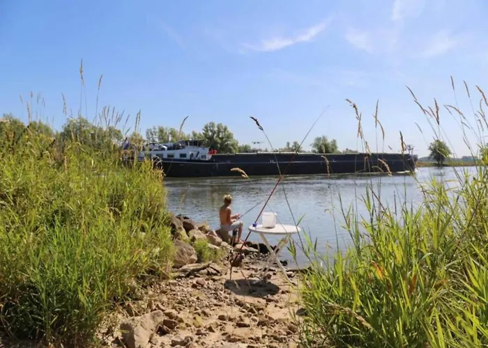 Botel Houseboat In Lathumse Plas With Harbor Views Lathum