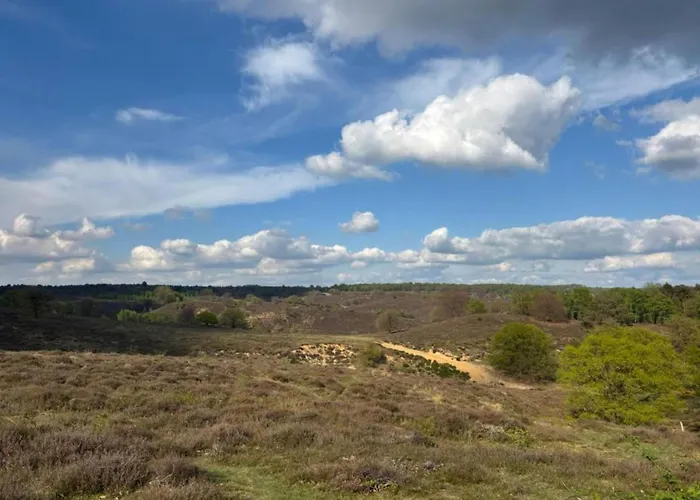 Houseboat In Lathumse Plas With Harbor Views Lathum